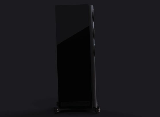 Perlisten S5t - cecha 4