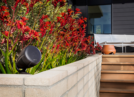Polk Audio Atrium Sat300 - cecha 3