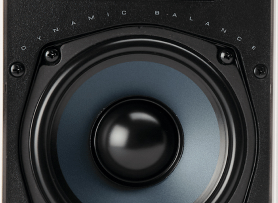 Polk Audio RC55i - cecha 1