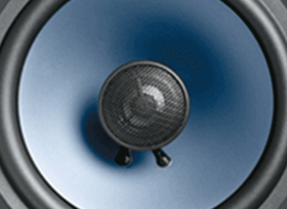 Polk Audio RC60i - cecha 2