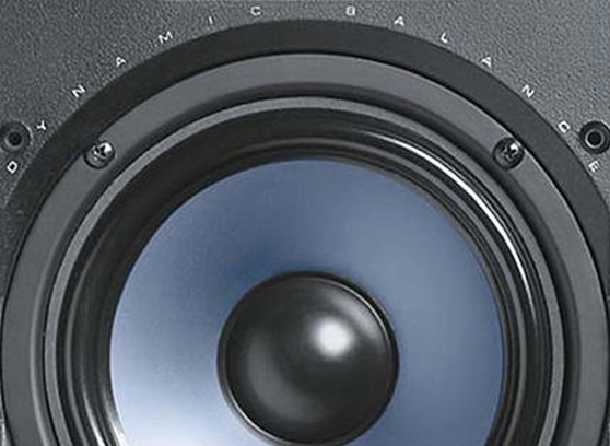 Polk Audio RC65i - cecha 1