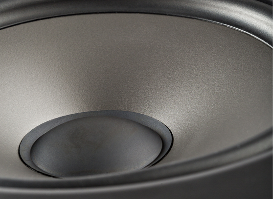 Polk Audio V85 - cecha 1