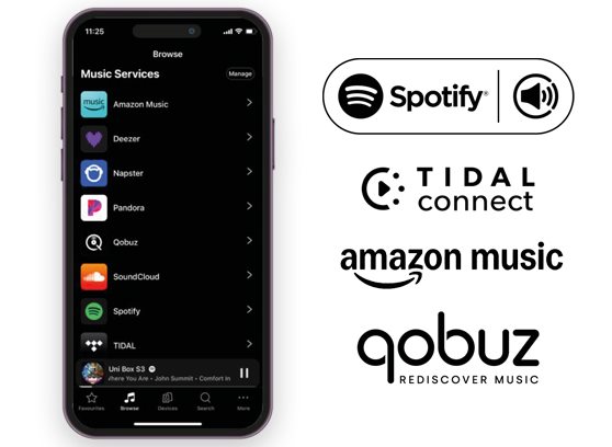 Pro-Ject Uni Box S3 - cecha 1