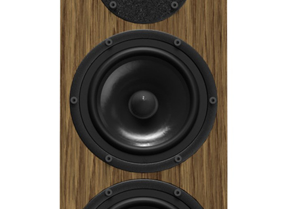 Pylon Audio Diamond 25 MKII - cecha 2