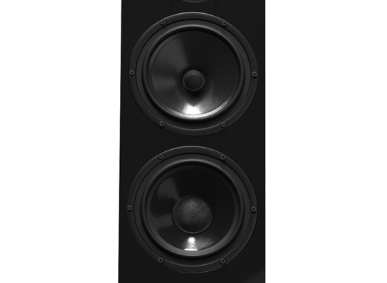 Pylon Audio Diamond 28 mkII - cecha 1
