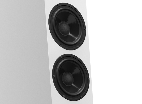 Pylon Audio Diamond 30 mkII - cecha 1