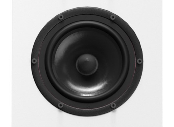 Pylon Audio Diamond 30 mkII - cecha 2