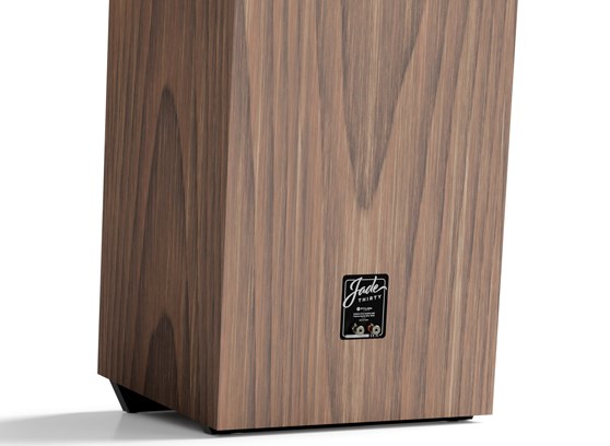 Pylon Audio Jade 30 - cecha 2