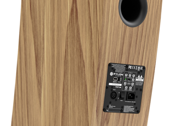 Pylon Audio Jasper Monitor 18 Active - cecha 2
