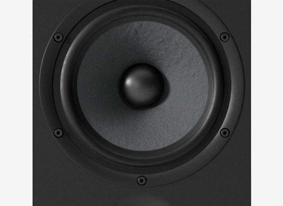 Pylon Audio Opal 30 mkII - cecha 2
