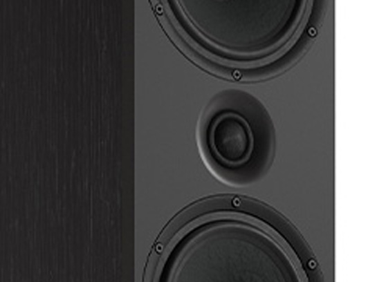 Pylon Audio Opal 30 mkII - cecha 3