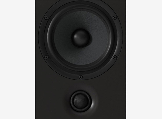 Pylon Audio Opal 40 mkII – cecha 2