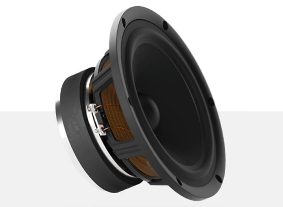Pylon Audio Opal Monitor 18 mkII - cecha 2