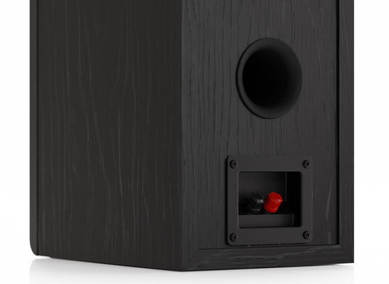Pylon Audio Opal Monitor 18 mkII - cecha 4