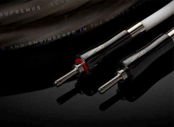 QED Signature Supremus Zr – cecha 1