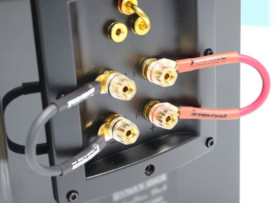 Ricable Dedalus Bridge Elite EPF - cecha 1