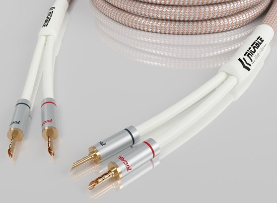 Ricable Dedalus Speaker Elite - cecha 1