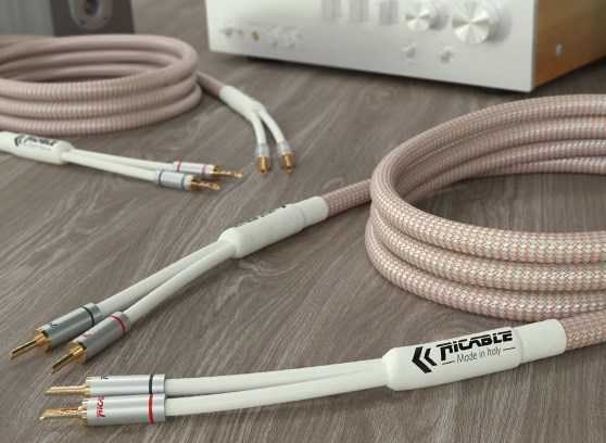 Ricable Dedalus Speaker Elite - cecha 3