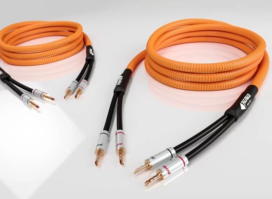 Ricable Dedalus Speaker MKII - cecha 1