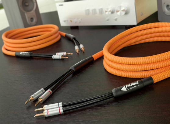 Ricable Dedalus Speaker MKII - cecha 2