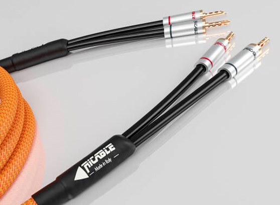 Ricable Dedalus Speaker MKII - cecha 3