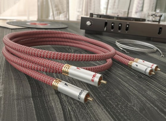 Ricable Dedalus Turntable - cecha 1