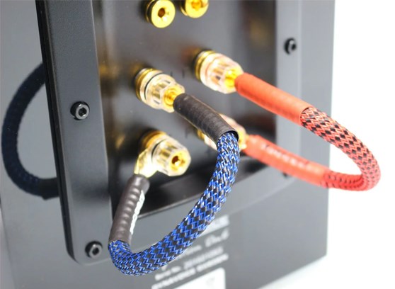 Ricable Invictus Bridge Reference RPB - cecha 1