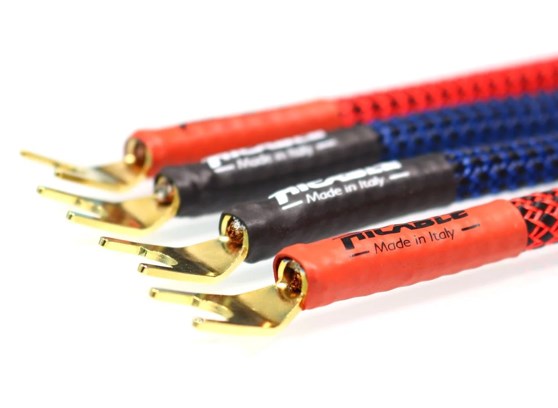 Ricable Invictus Bridge Reference RPB - cecha 2