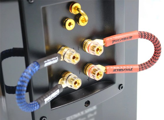 Ricable Invictus Bridge Reference RPF - cecha 1