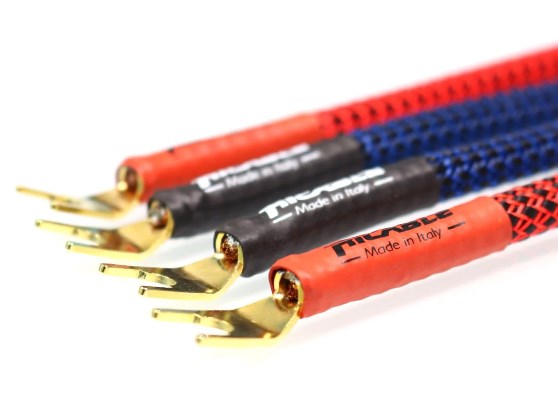 Ricable Invictus Bridge Reference RPF - cecha 2