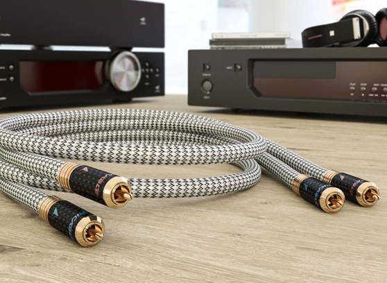 Ricable Invictus Signal Reference - cecha 2