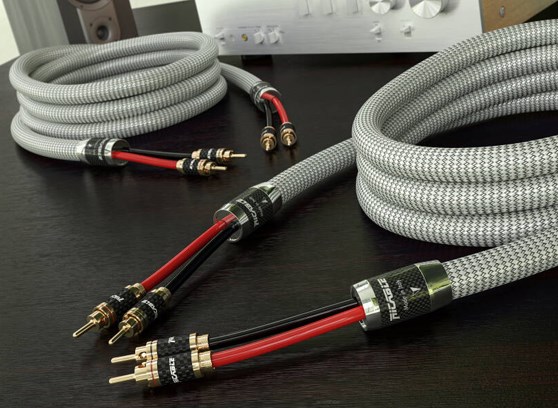 Ricable Invictus Speaker Reference MKII - cecha 1