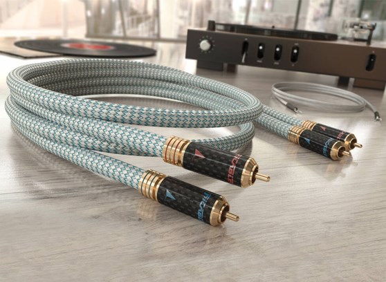 Ricable Invictus Turntable Reference - cecha 1