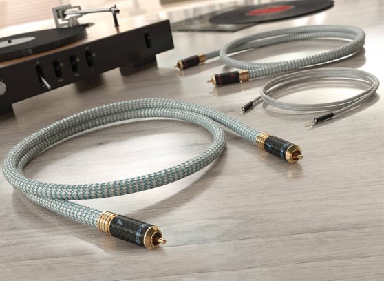 Ricable Invictus Turntable Reference - cecha 3