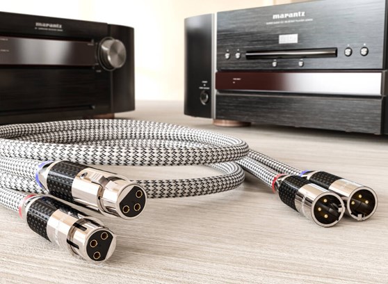 Ricable Invictus XLR Reference - cecha 2