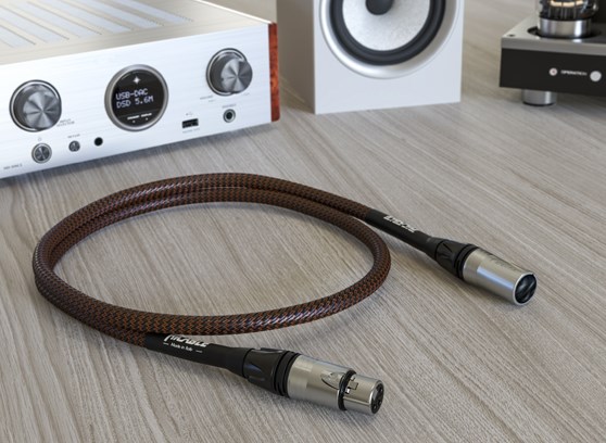 Ricable Magnus AES/EBU - cecha 1