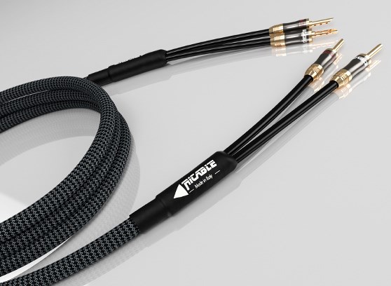 Ricable Magnus Speaker MKII - cecha 1