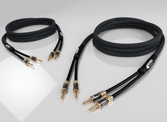 Ricable Magnus Speaker MKII - cecha 2