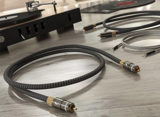 Ricable Magnus Turntable - cecha 3