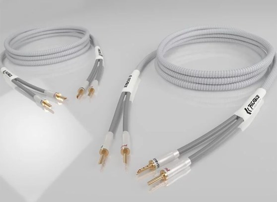 Ricable Primus Speaker MKII - cecha 1