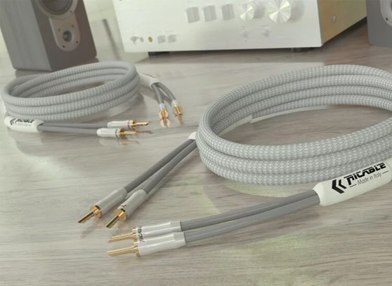 Ricable Primus Speaker MKII - cecha 2