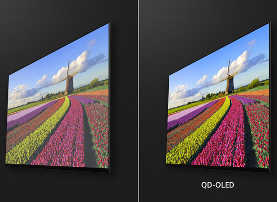 Sony FWD-77A95L Bravia XR - cecha 1