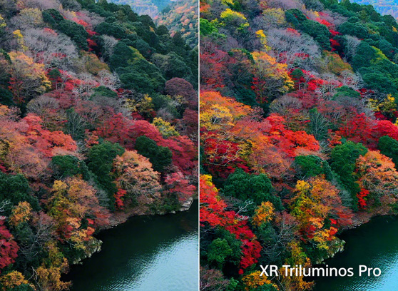 Sony FWD-85XR70 Bravia XR - cecha 2