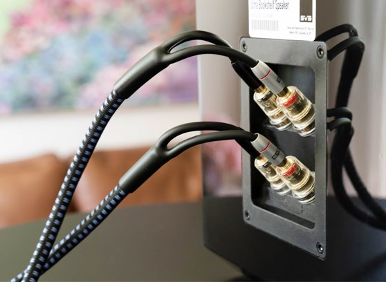 SVS SoundPath Ultra Bi-Wire Speaker Cable - cecha 2