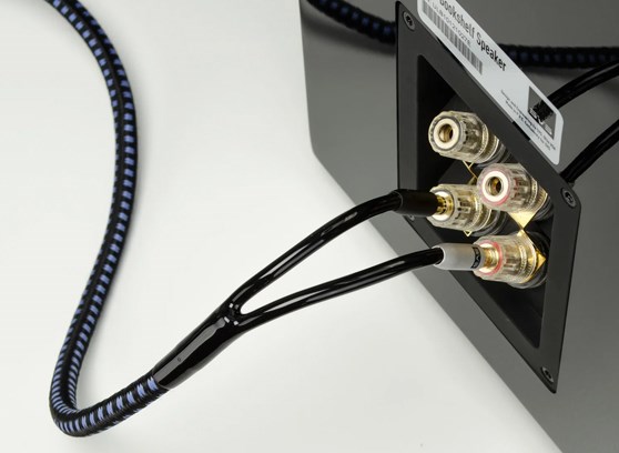 SVS SoundPath Ultra Speaker Cable - cecha 1