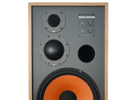 Taga Harmony Nostalgic TH-15 - cecha 1