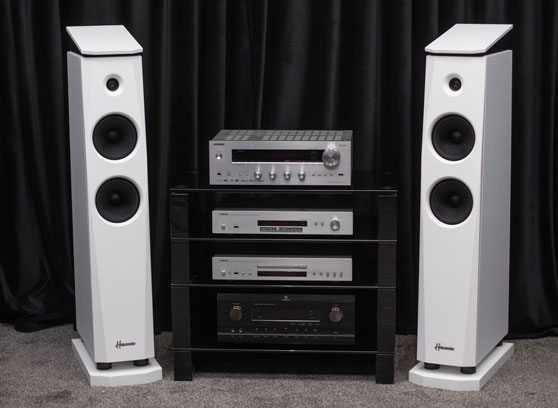 Tonsil Maestro Harmonia - cecha 3