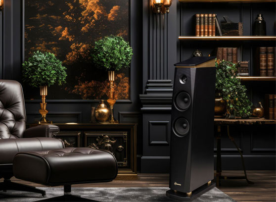 Tonsil Harmonia - cecha 2