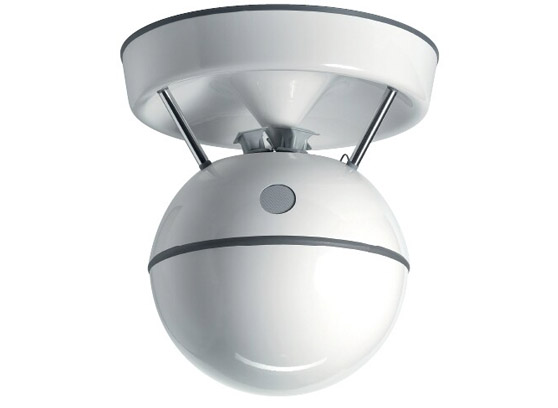 Tonsil SF/T - cecha 1