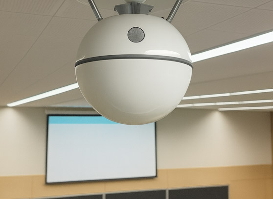 Tonsil SF/T - cecha 2